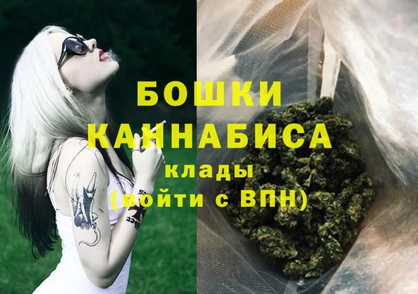гашик Белокуриха