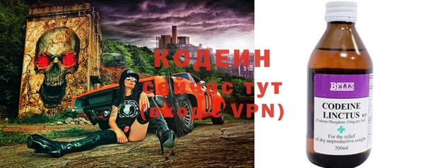 гашик Белокуриха