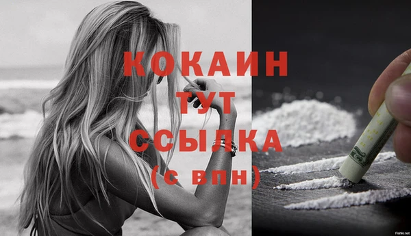 гашик Белокуриха