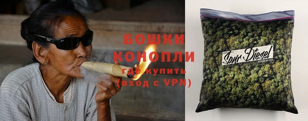гашик Белокуриха