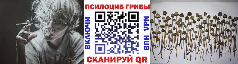 Псилоцибиновые грибы MAGIC MUSHROOMS  где найти   Кстово 