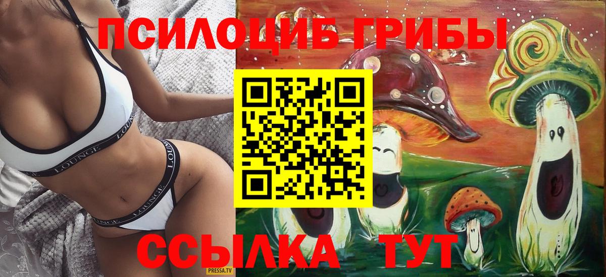 Кстово  Псилоцибиновые грибы GOLDEN TEACHER  Вход с VPN  Псилоцибиновые грибы Psilocybine cubensis 