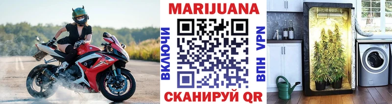 Шишки марихуана семена  Кстово 